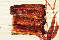 「うなぎの蒲焼き(特上)」 折箱入
